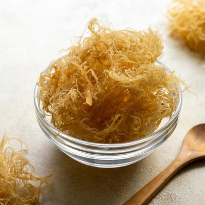 Sea Moss